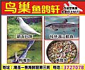 鸟巢鱼鸽轩