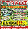 广宁竹乡山庄