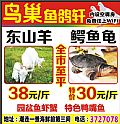 鸟巢鱼鸽轩