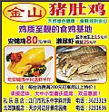金山猪肚鸡