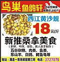 鸟巢鱼鸽轩