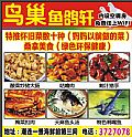 鸟巢鱼鸽轩