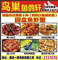 鸟巢鱼鸽轩