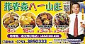 菲普森八一山庄