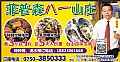 菲普森八一山庄
