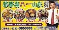 菲普森八一山庄
