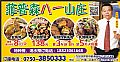 菲普森八一山庄