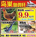 鸟巢鱼鸽轩