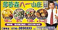 菲普森八一山庄
