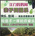 江门妈妈网